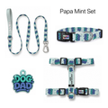 Papa Mint Tasma ve Künye Seti – Set fotoğrafı