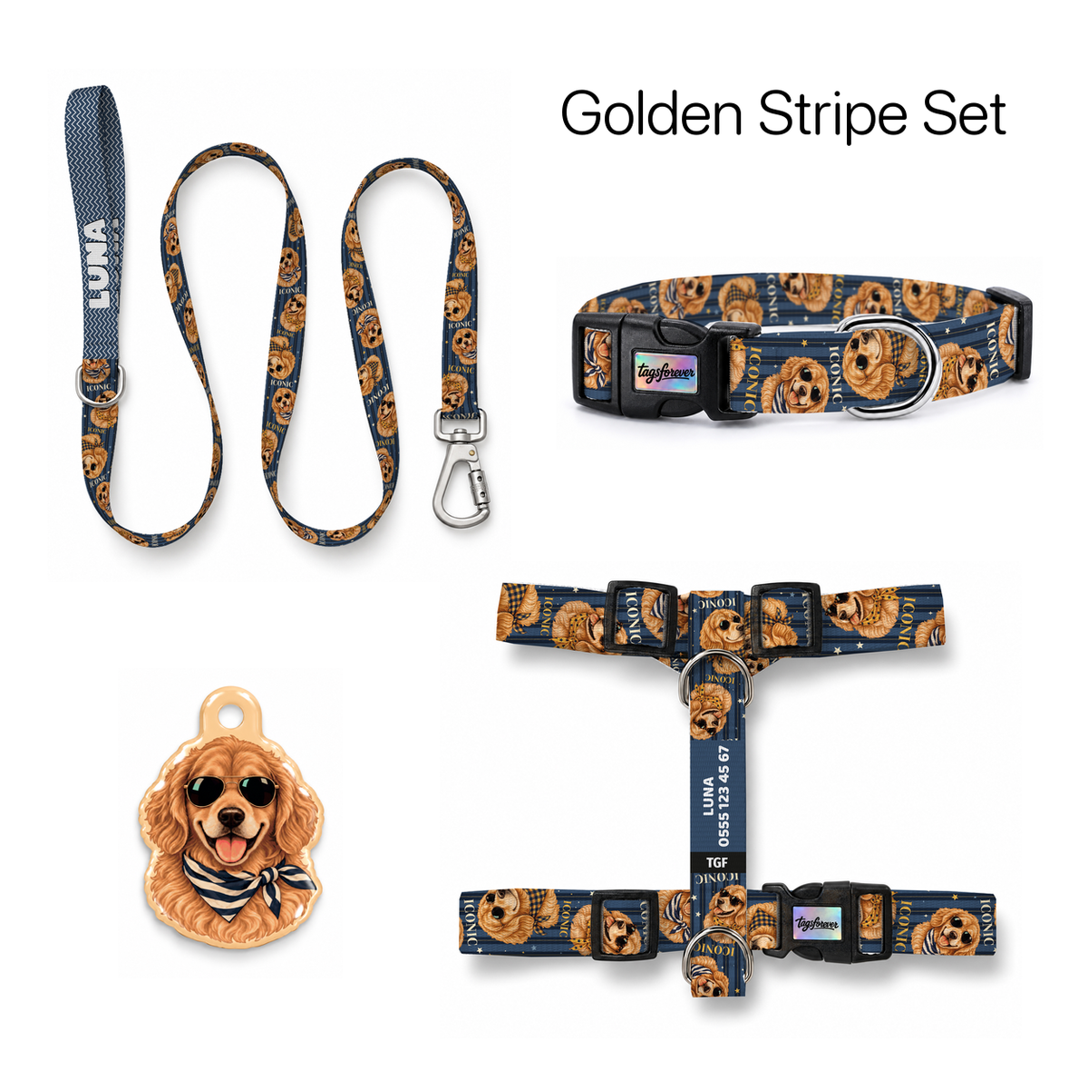 Golden Stripe Tasma ve Künye Seti – Set fotoğrafı