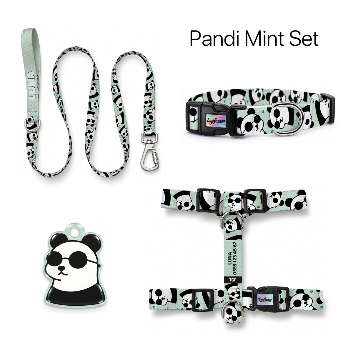 Pandi Mint Tasma ve Künye Seti – Set fotoğrafı