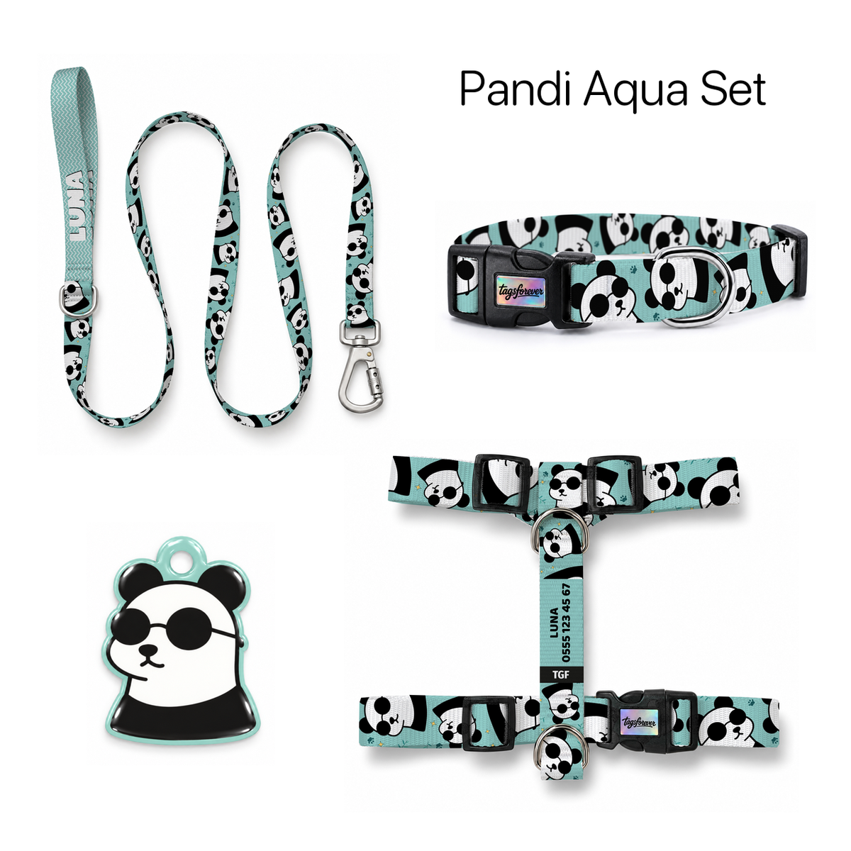Pandi Aqua Tasma ve Künye Seti – Set fotoğrafı