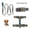 Jack Stripe Tasma ve Künye Seti – Set fotoğrafı