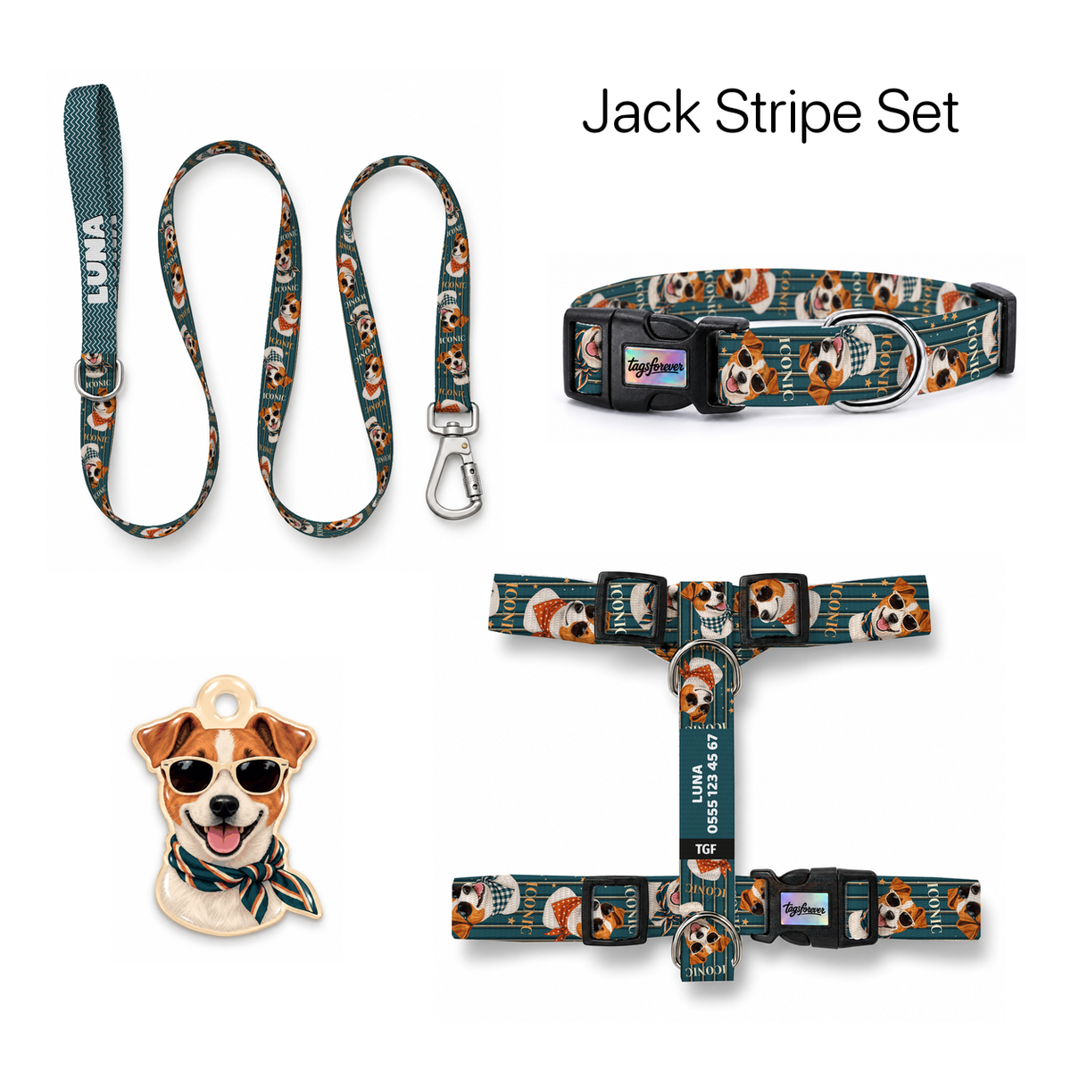 Jack Stripe Tasma ve Künye Seti – Set fotoğrafı