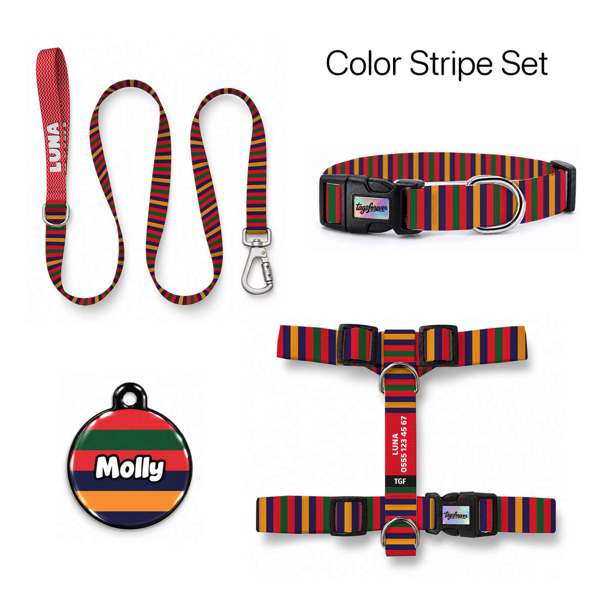 Color Stripe Tasma ve Künye Seti – Set fotoğrafı