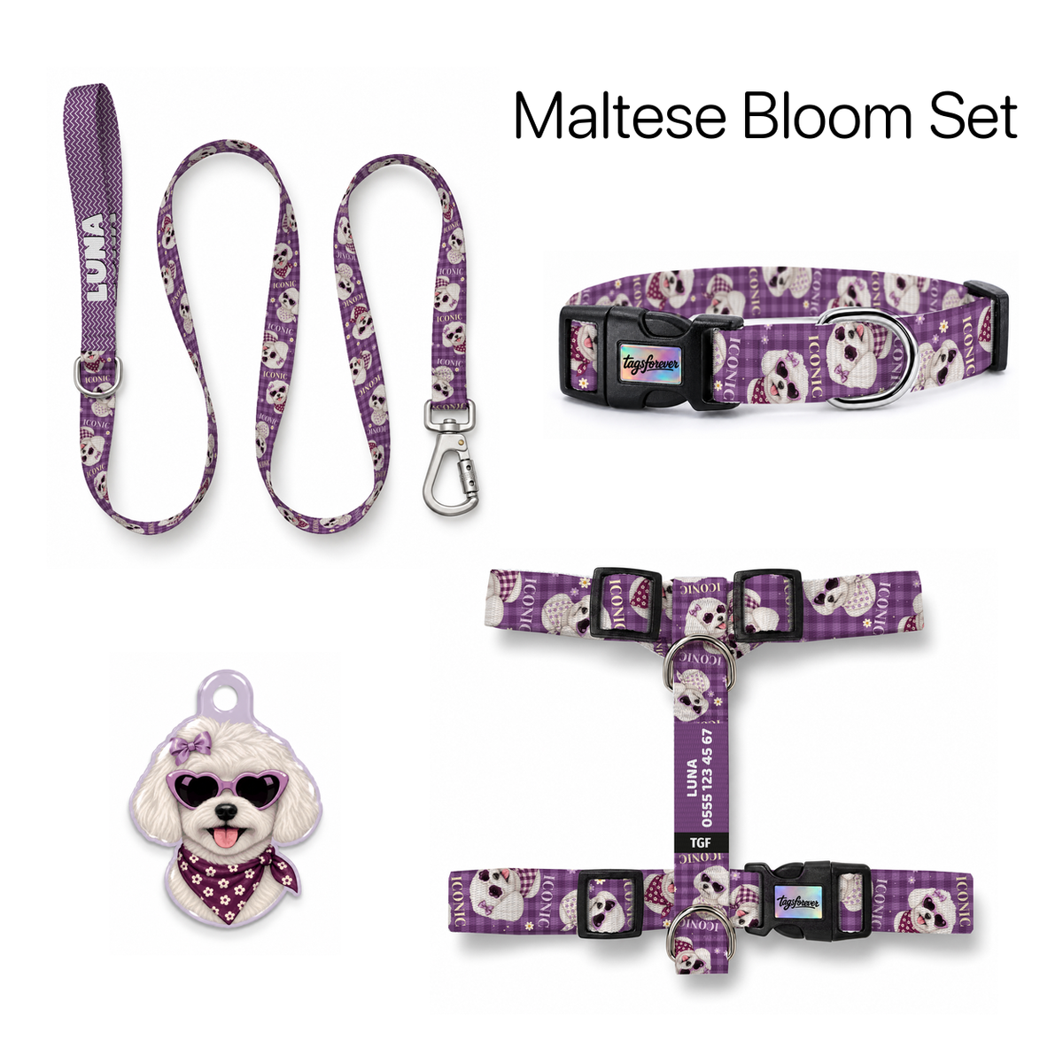 Maltese Bloom Tasma ve Künye Seti – Set fotoğrafı