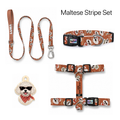 Maltese Stripe Tasma ve Künye Seti – Set fotoğrafı
