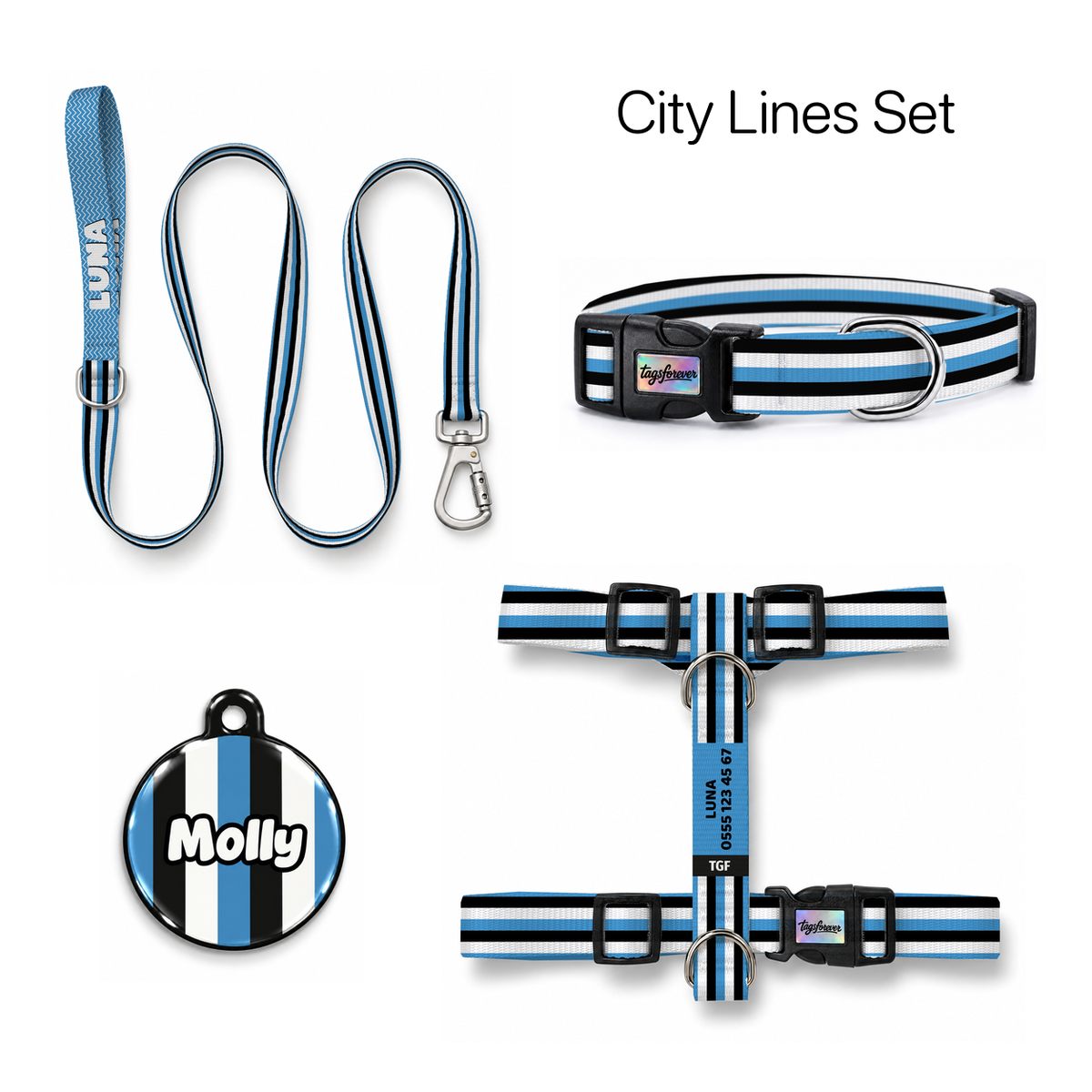 City Lines Tasma ve Künye Seti – Set fotoğrafı