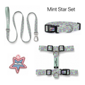 Mint Star Tasma ve Künye Seti – Set fotoğrafı