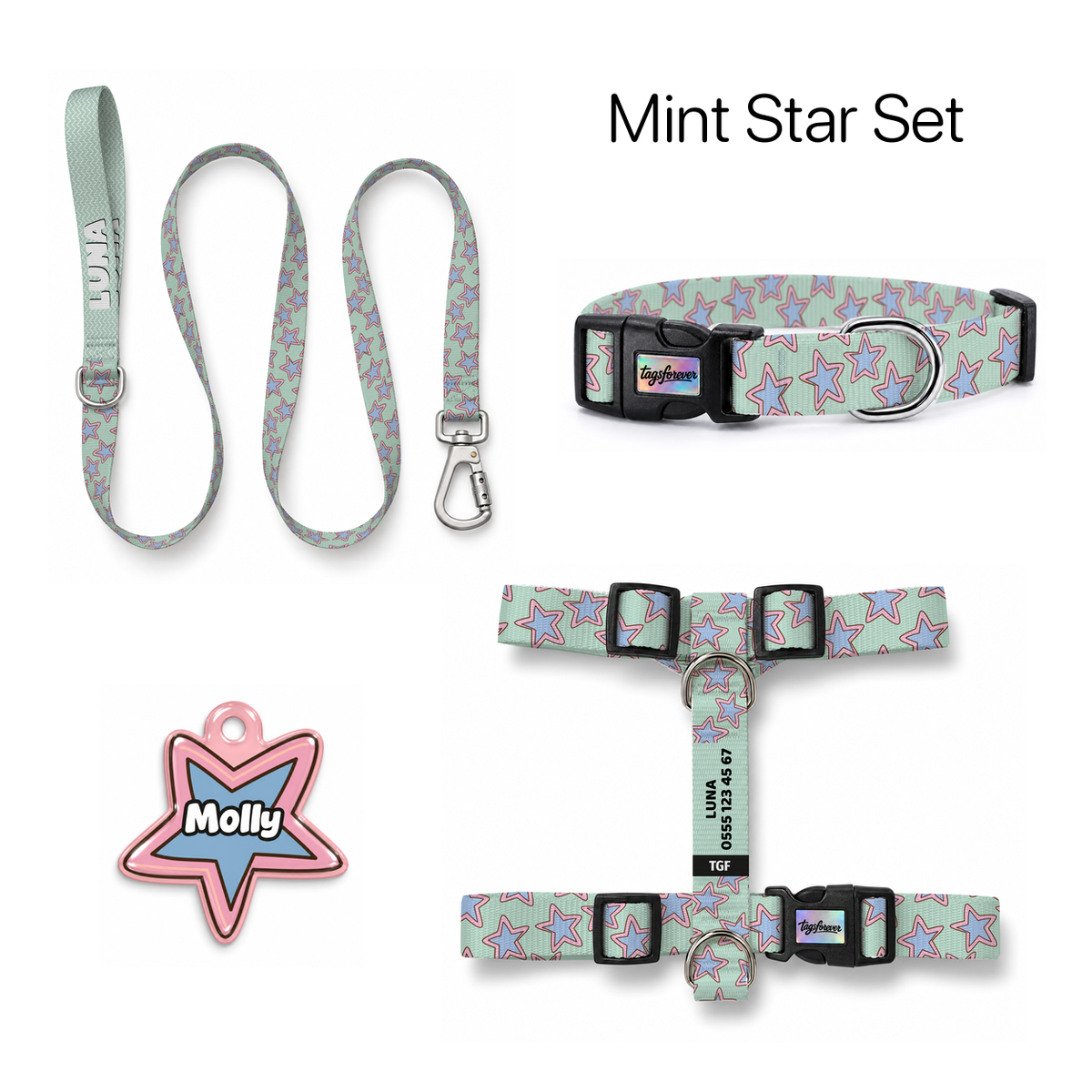 Mint Star Tasma ve Künye Seti – Set fotoğrafı
