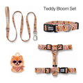 Teddy Bloom Tasma ve Künye Seti – Set fotoğrafı