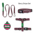 Berry Stripe Tasma ve Künye Seti – Set fotoğrafı