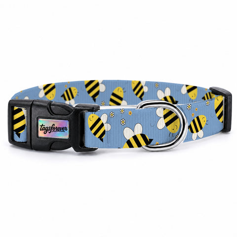 Buzzy Blue Köpek Tasması – Urun
