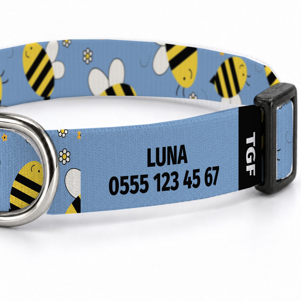 Buzzy Blue Köpek Tasması – Yakin Cekim