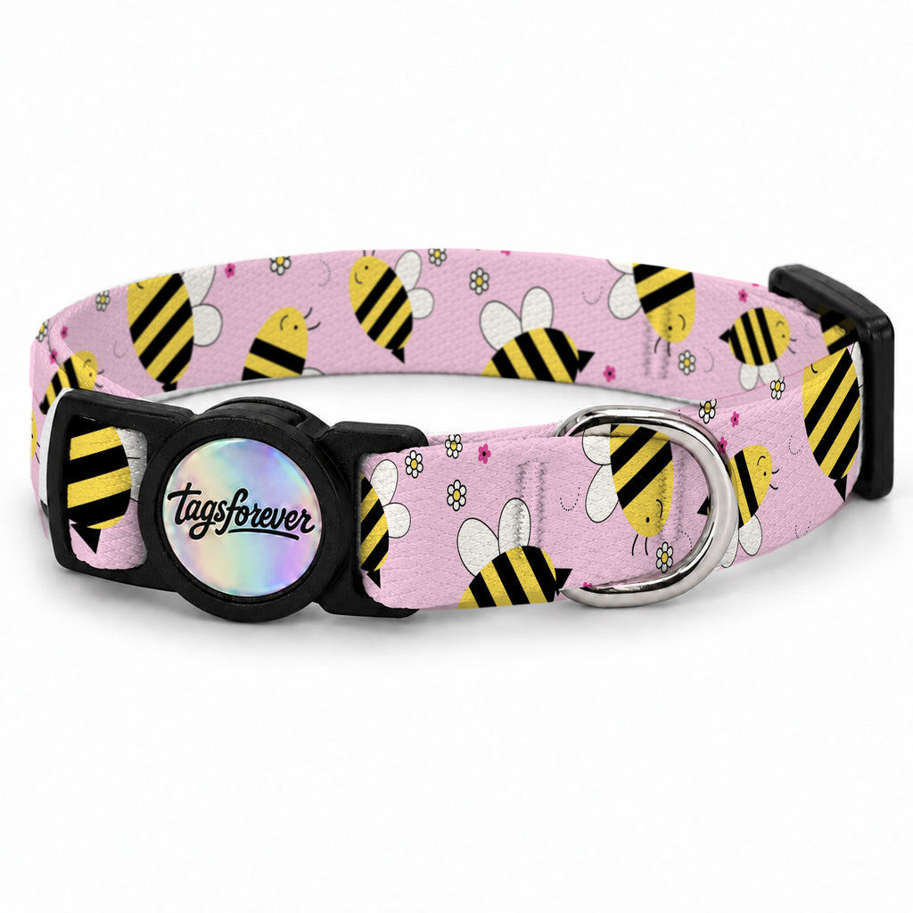Buzzy Pink Kedi Tasması – Urun
