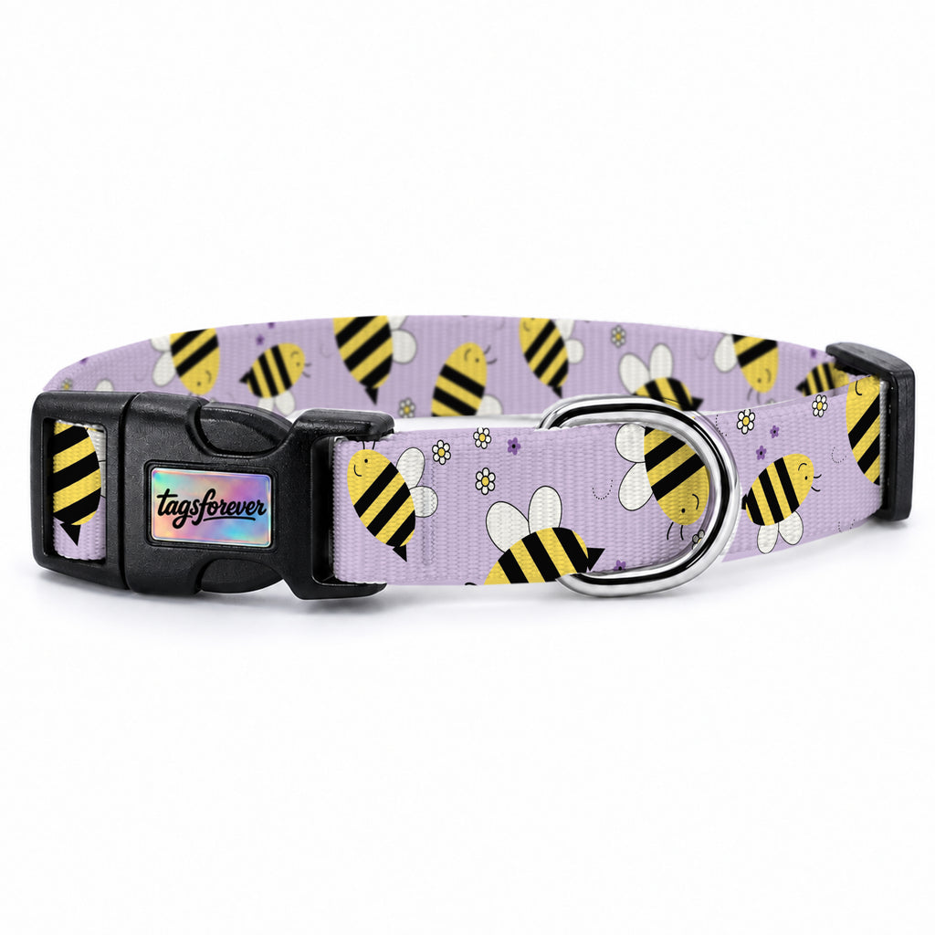 Buzzy Lilac Köpek Tasması – Urun