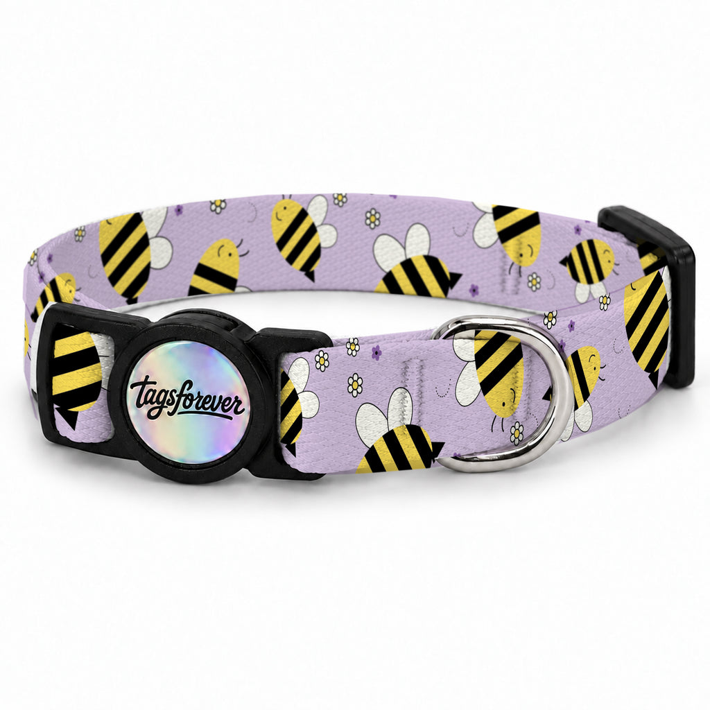 Buzzy Lilac Kedi Tasması – Urun