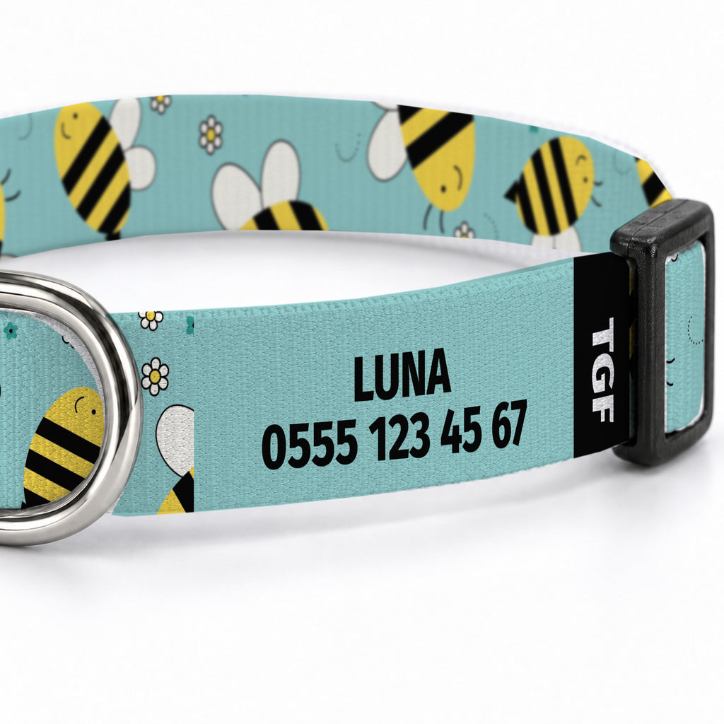Buzzy Aqua Köpek Tasması – Yakin Cekim