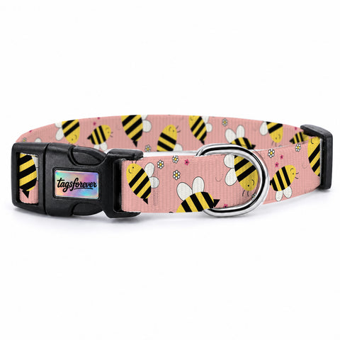 Buzzy Coral Köpek Tasması – Urun