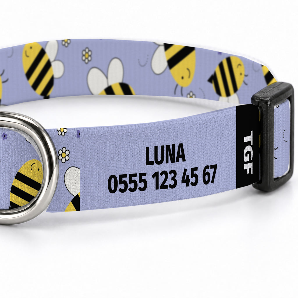 Buzzy Purple Köpek Tasması – Yakin Cekim