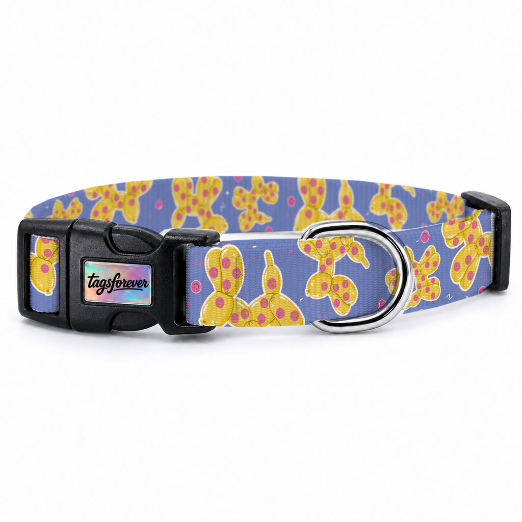 Ballo Violet Köpek Tasması – Urun