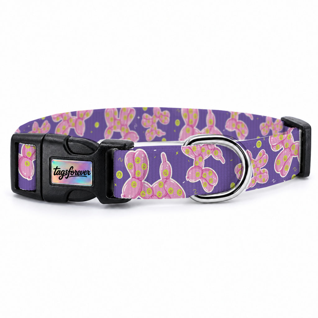 Ballo Purple Köpek Tasması – Urun