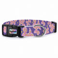 Ballo Purple Köpek Tasması – Urun