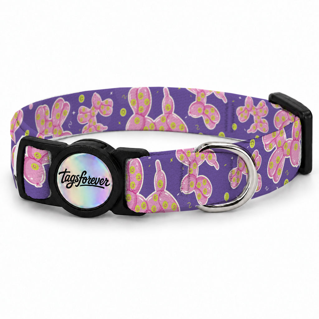 Ballo Purple Kedi Tasması – Urun