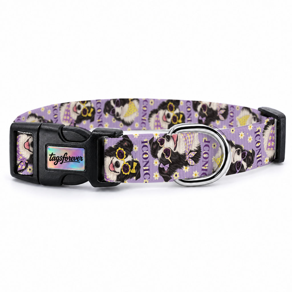 Collie Bloom Köpek Tasması – Urun