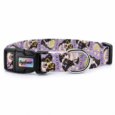 Collie Bloom Köpek Tasması – Urun