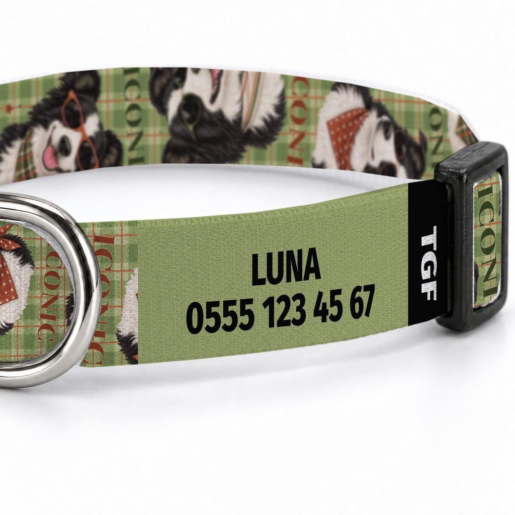 Collie Olive Köpek Tasması – Yakin Cekim
