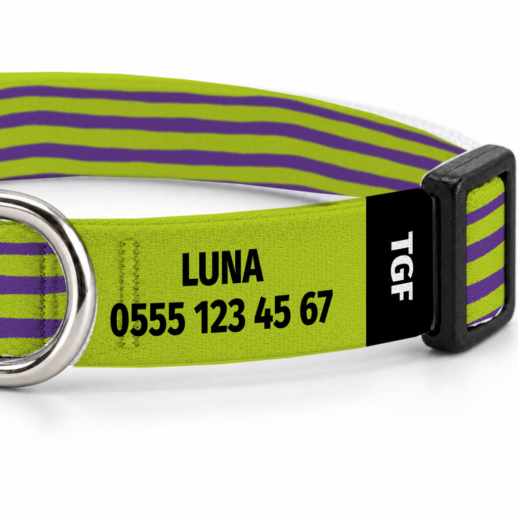 Brush Purple Kedi Tasması – Yakin Cekim
