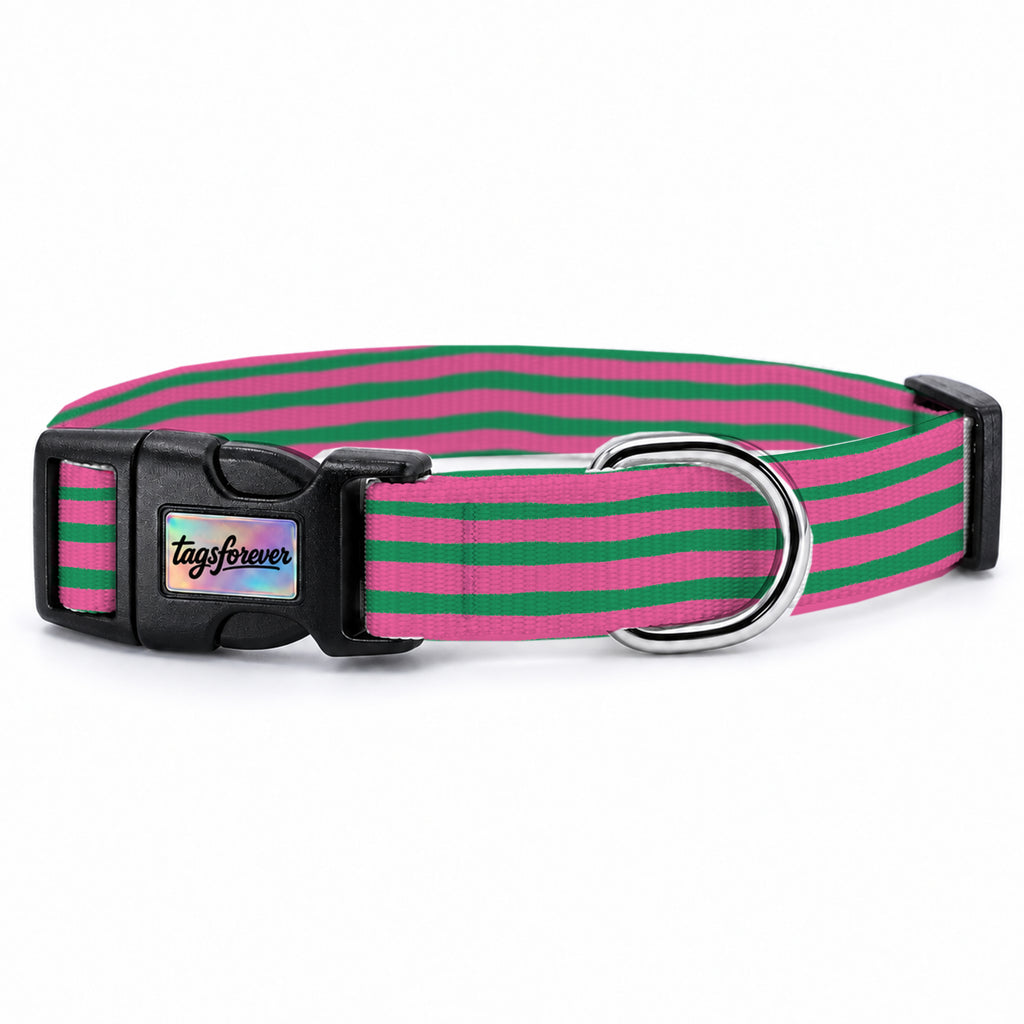 Brush Green Köpek Tasması – Urun