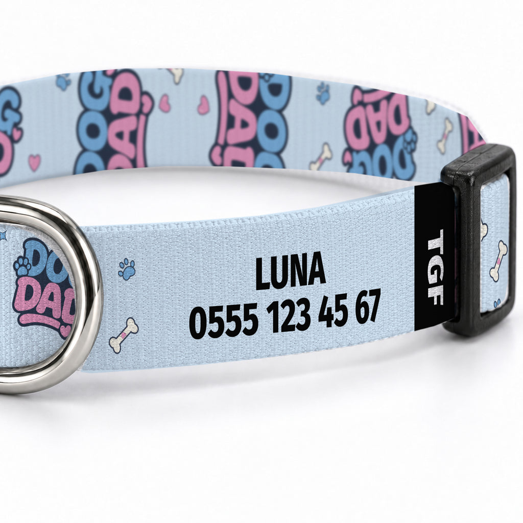 Papa Blue Köpek Tasması – Yakin Cekim