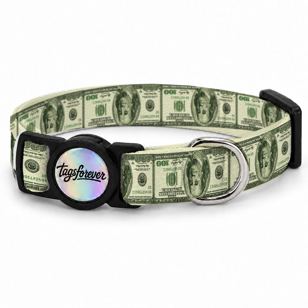 Dollar Pop Kedi Tasması – Urun
