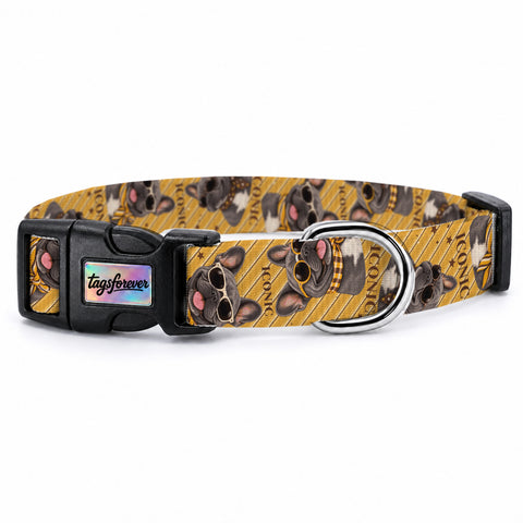 Frenchie Stripe Köpek Tasması – Urun