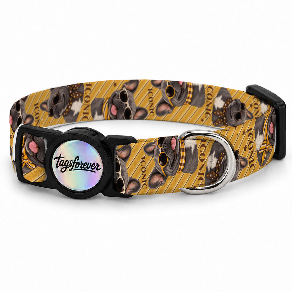 Frenchie Stripe Kedi Tasması – Urun