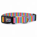 Rainbow Loop Köpek Tasması – Urun