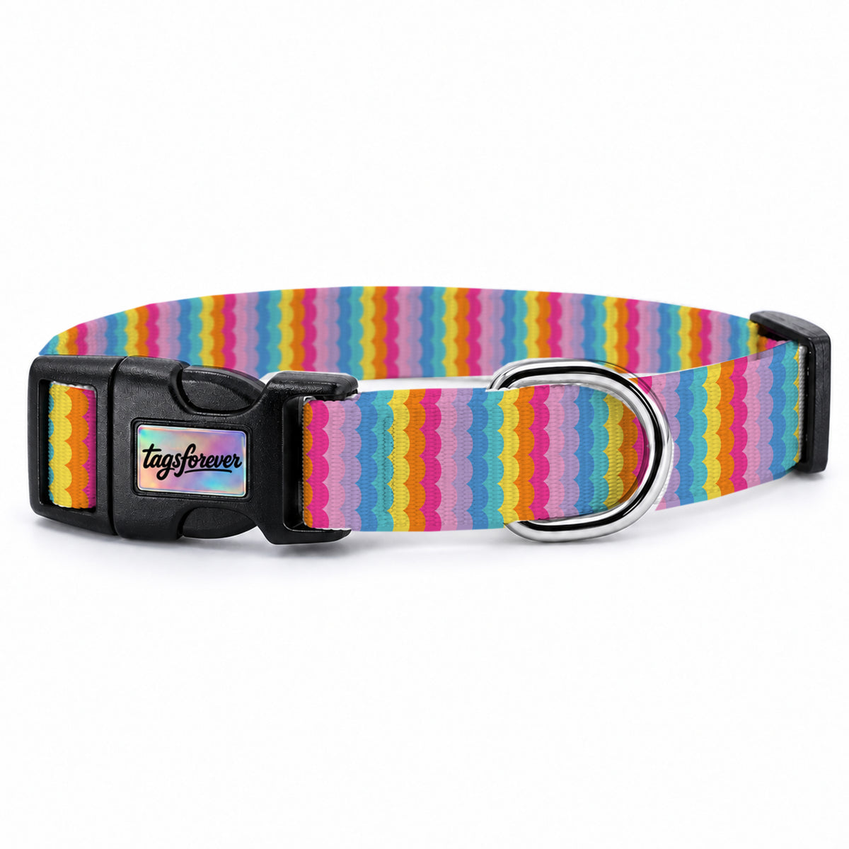 Rainbow Loop Köpek Tasması – Urun
