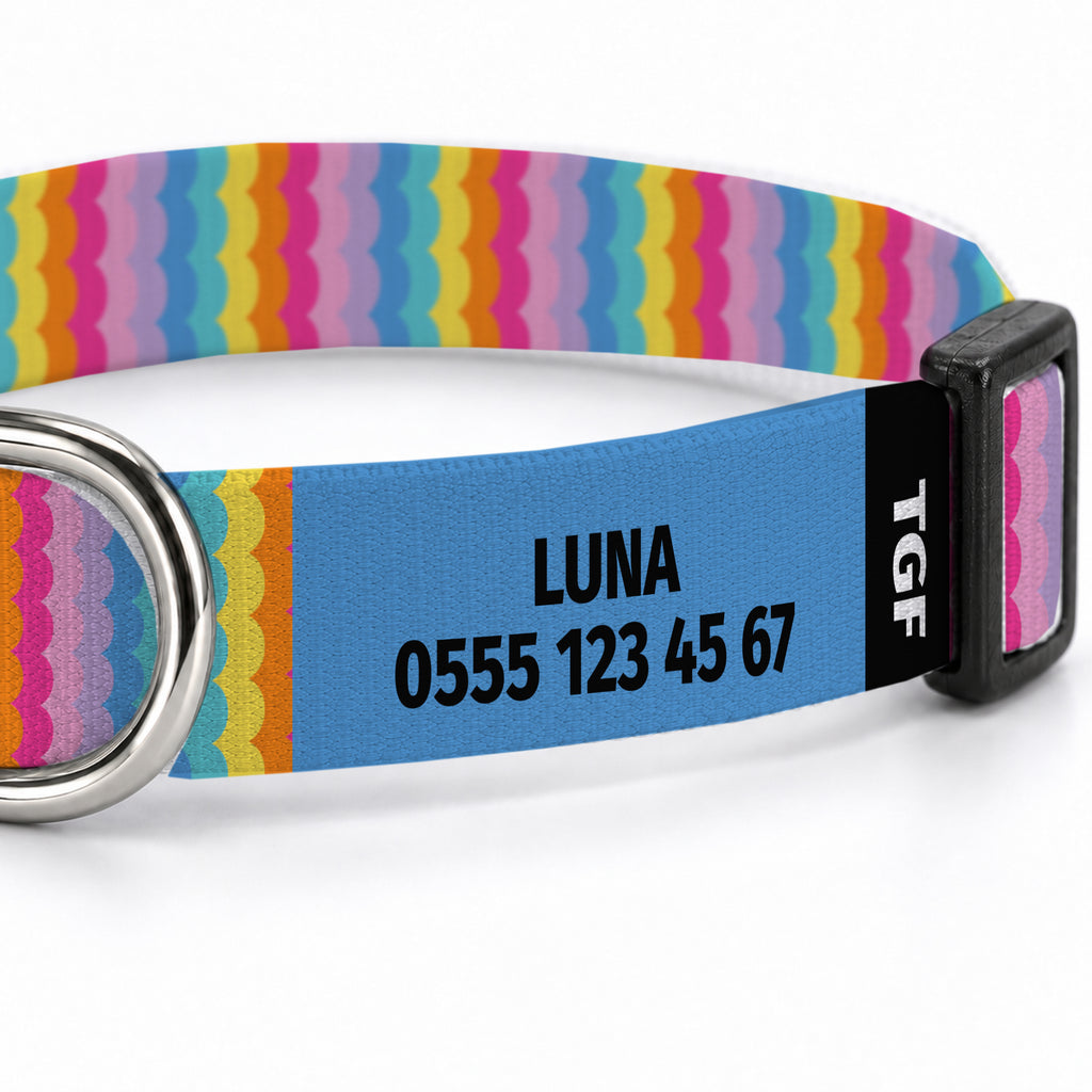 Rainbow Loop Köpek Tasması – Yakin Cekim