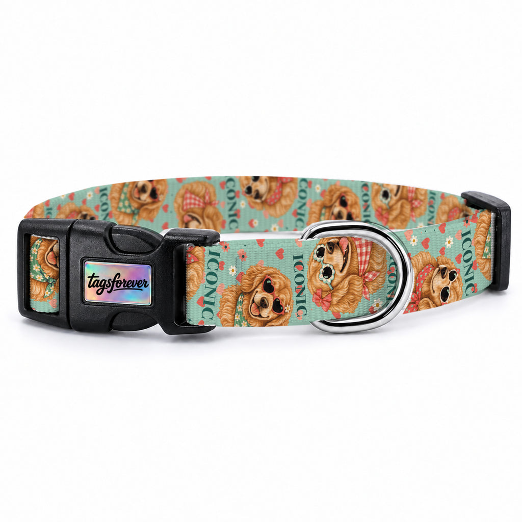 Golden Love Köpek Tasması – Urun
