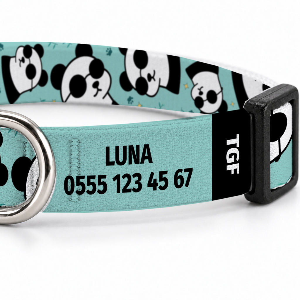 Pandi Aqua Kedi Tasması – Yakin Cekim