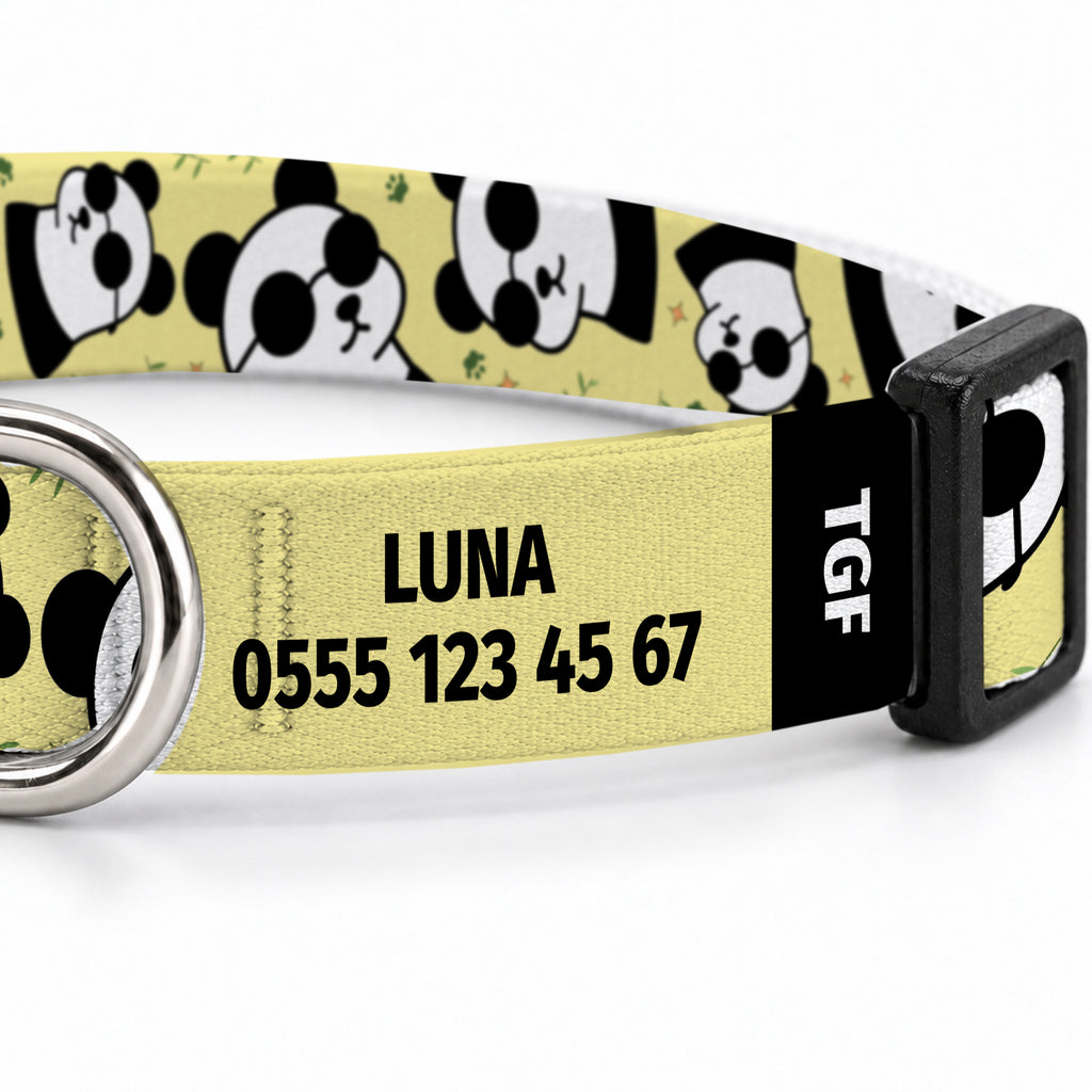 Pandi Lemon Kedi Tasması – Yakin Cekim