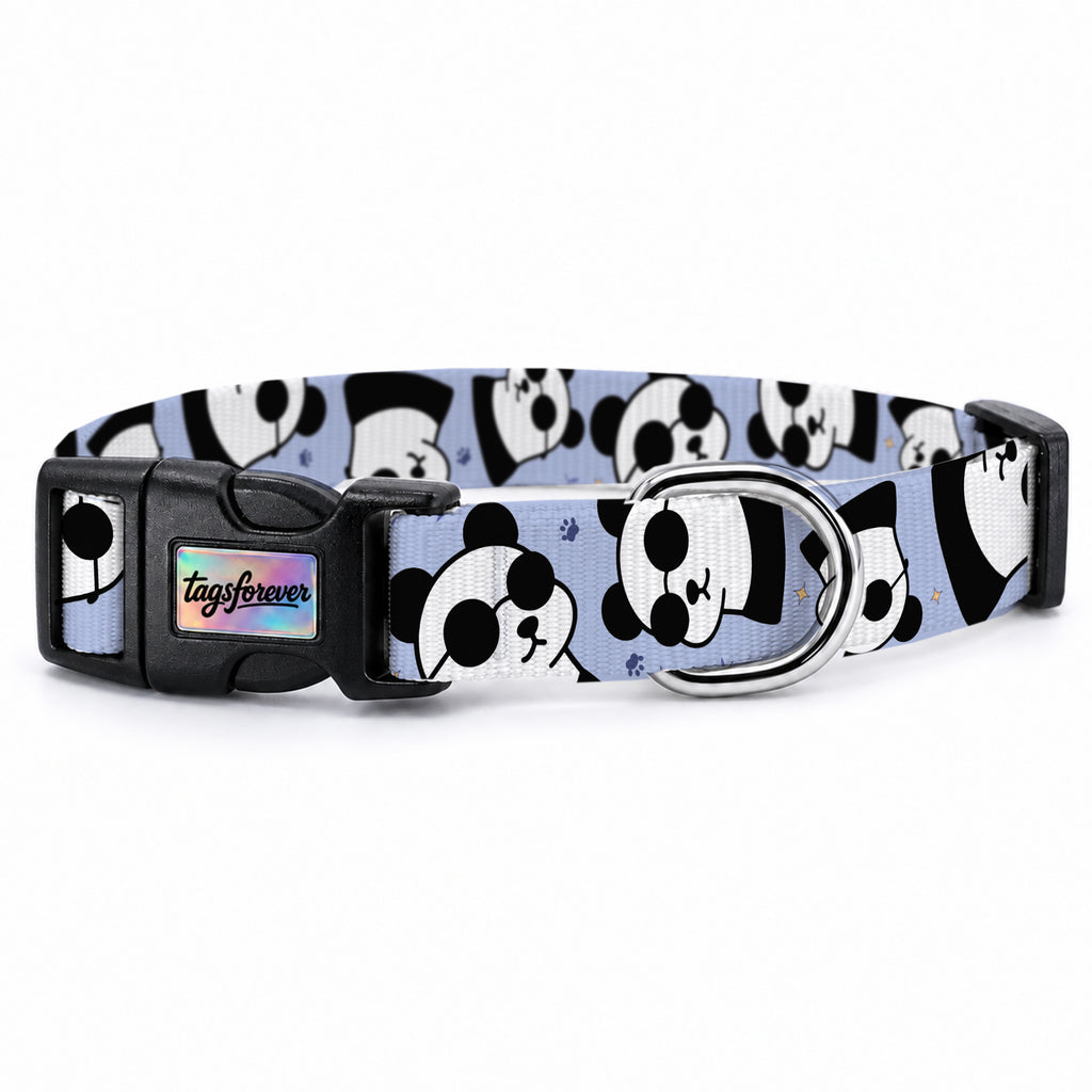 Pandi Purple Köpek Tasması – Urun