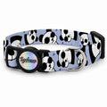 Pandi Purple Kedi Tasması – Urun