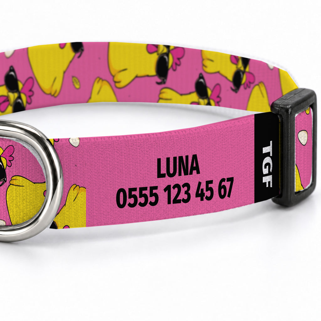 Pink Chick Köpek Tasması – Yakin Cekim