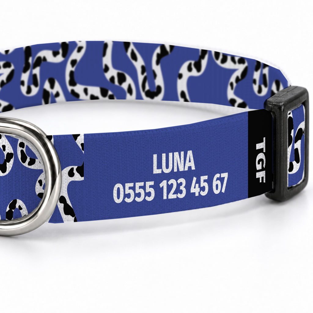 Moo Blue Köpek Tasması – Yakin Cekim