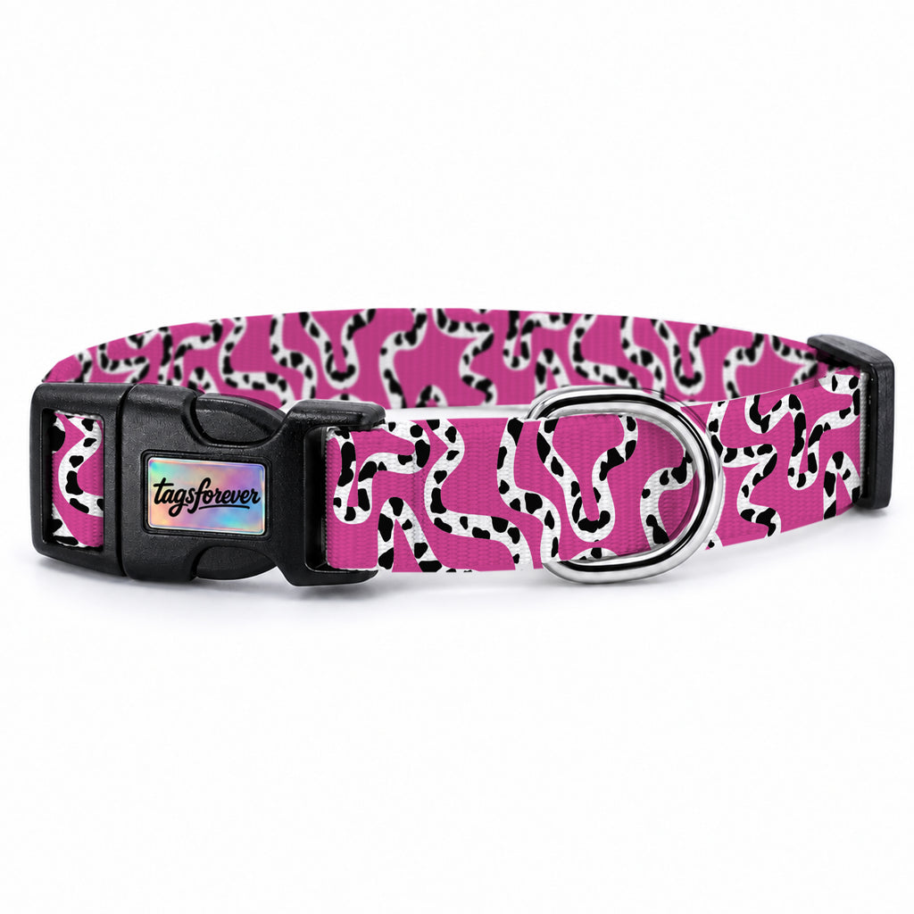 Moo Berry Köpek Tasması – Urun