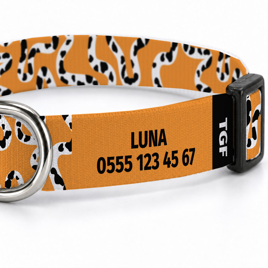 Moo Orange Köpek Tasması – Yakin Cekim