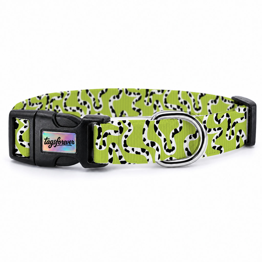 Moo Lime Köpek Tasması – Urun