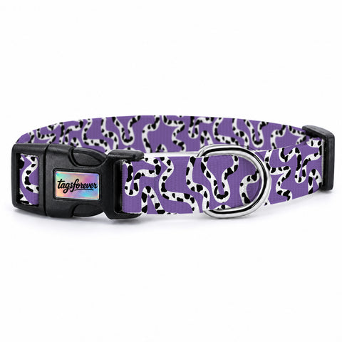 Moo Violet Köpek Tasması – Urun
