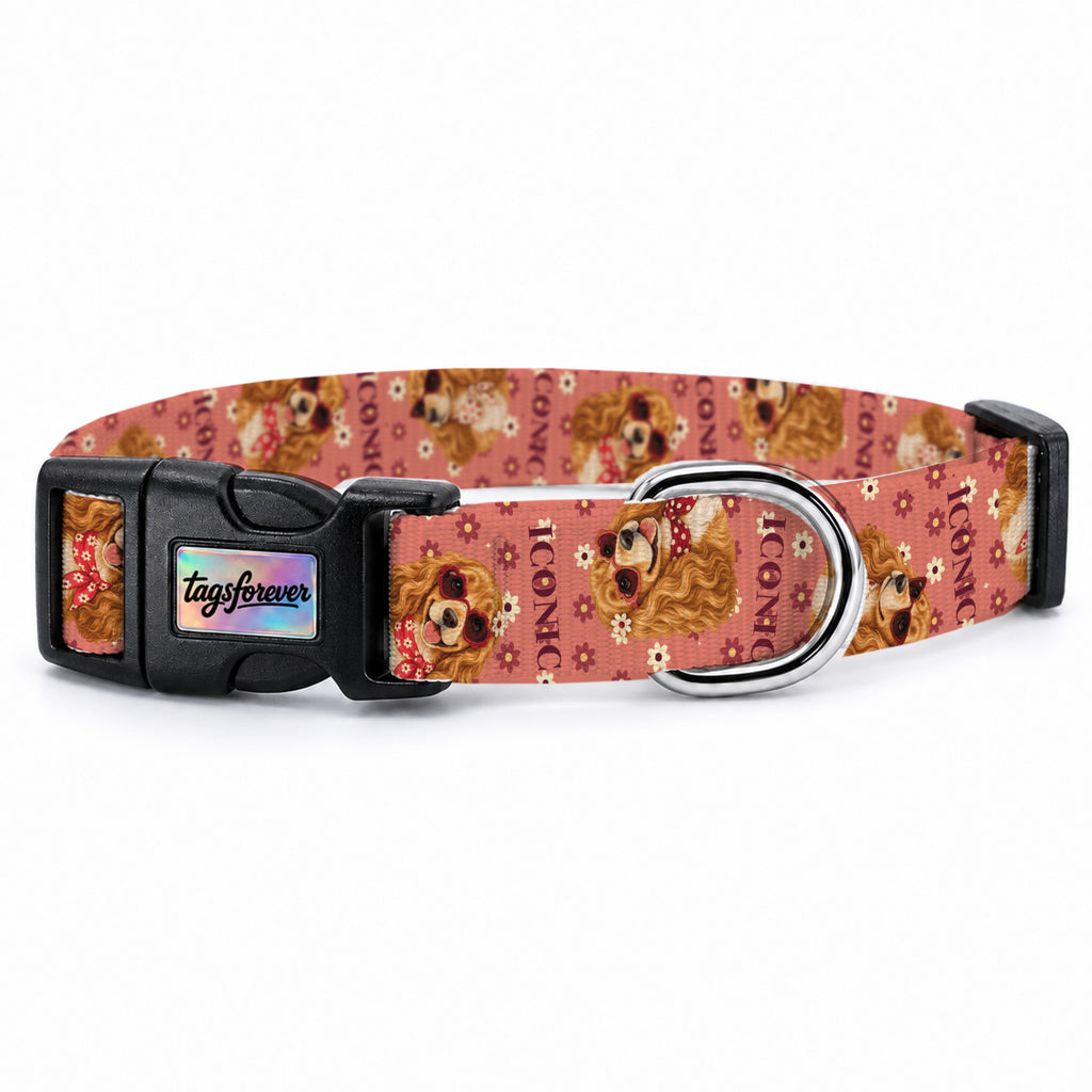 Cocker Bloom Köpek Tasması – Urun